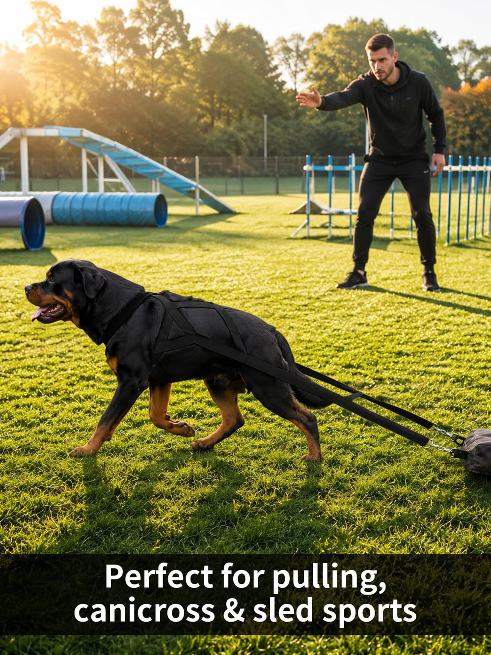 Kangdarpet dog pulling harness shown in black.