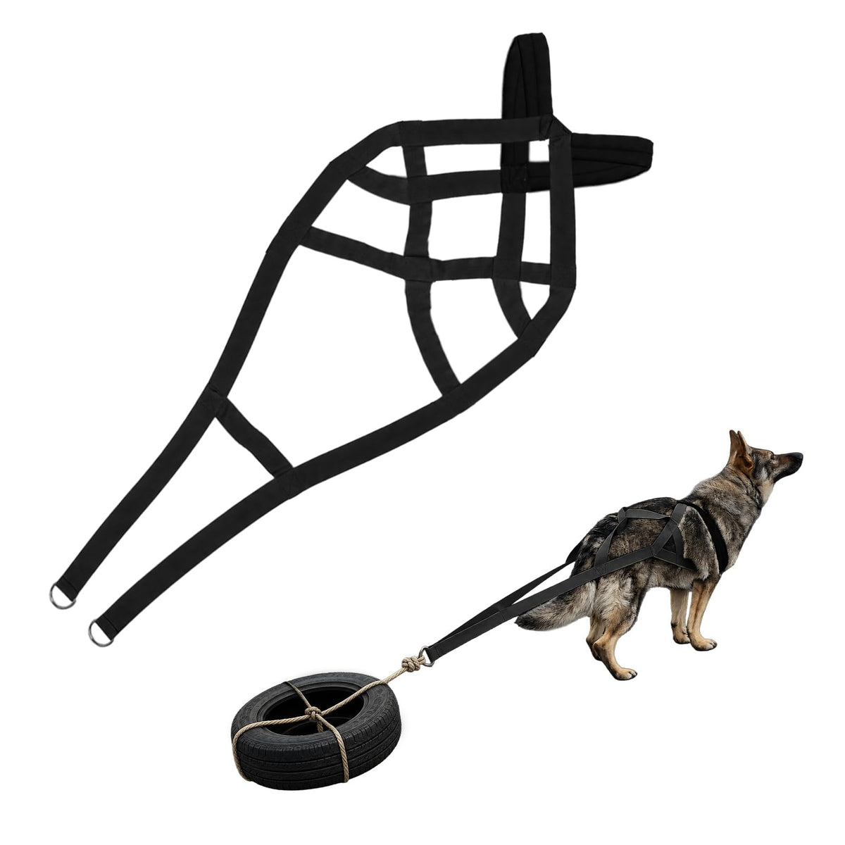 Kangdarpet dog pulling harness shown from the front.