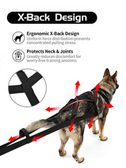 Kangdarpet dog pulling harness with close-up view of the neck padding.