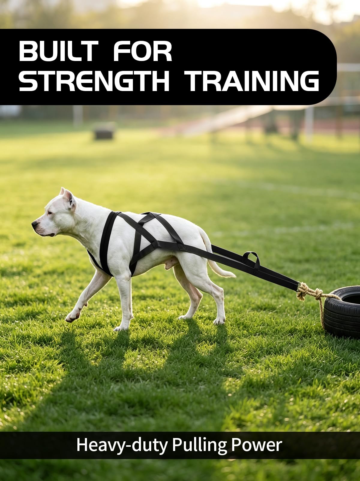 Kangdarpet dog pulling harness shown from a side angle.