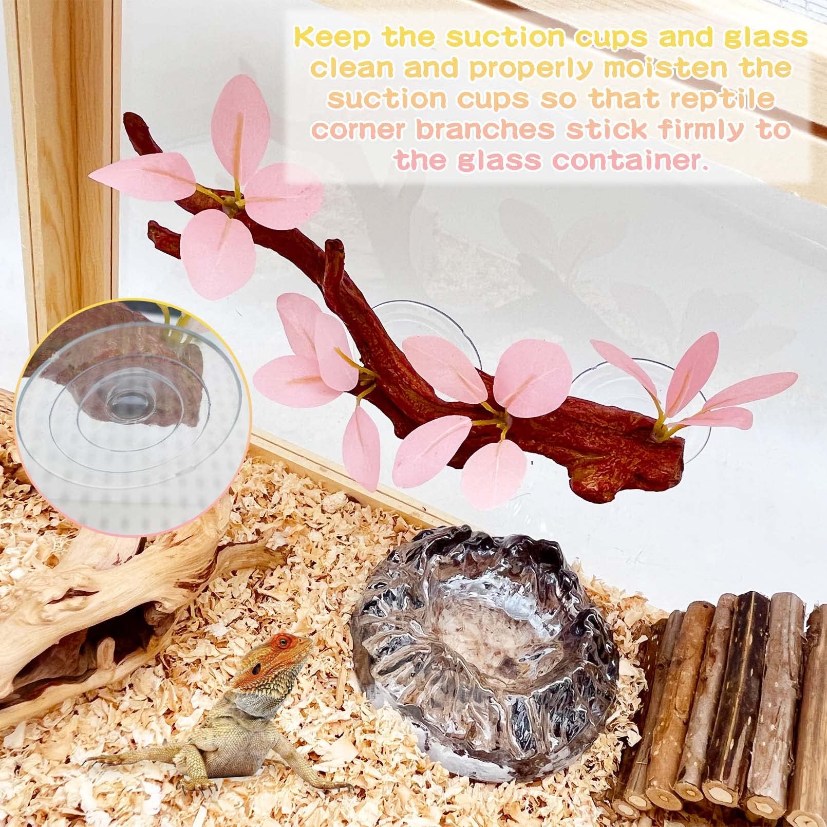 kathson Reptile Corner Branches arranged as décor inside a terrarium.