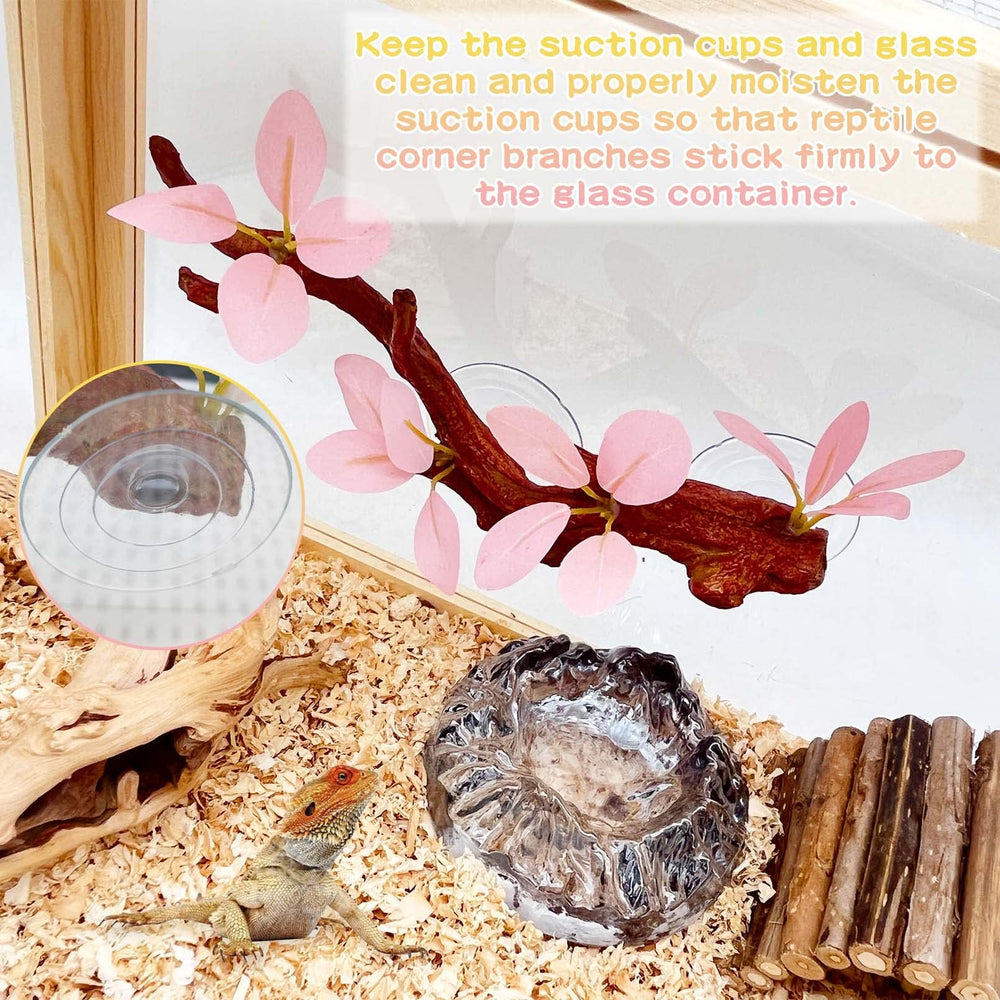 kathson Reptile Corner Branches arranged as décor inside a terrarium.