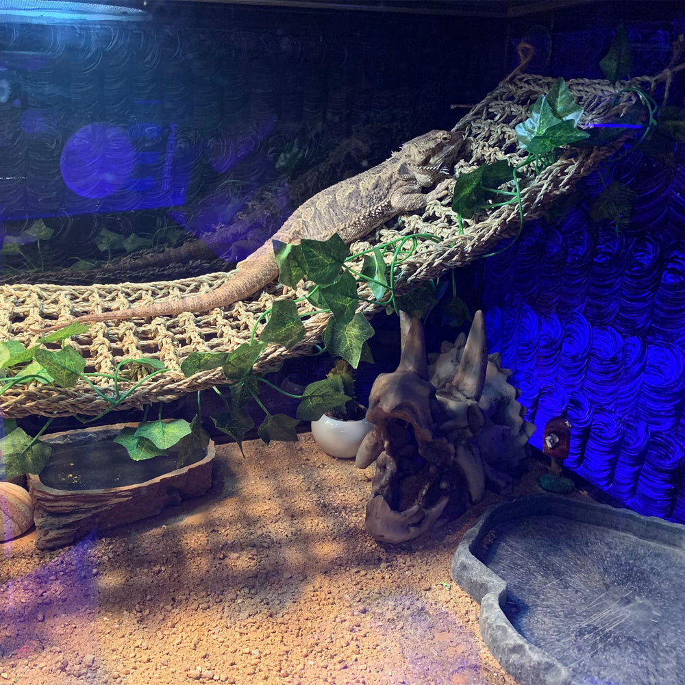 kathson reptile decor set featuring its long leafy decoration.