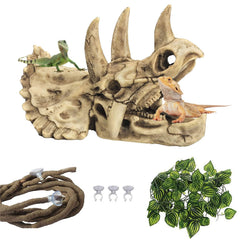 kathson reptile dinosaur skull decoration shown from the front.