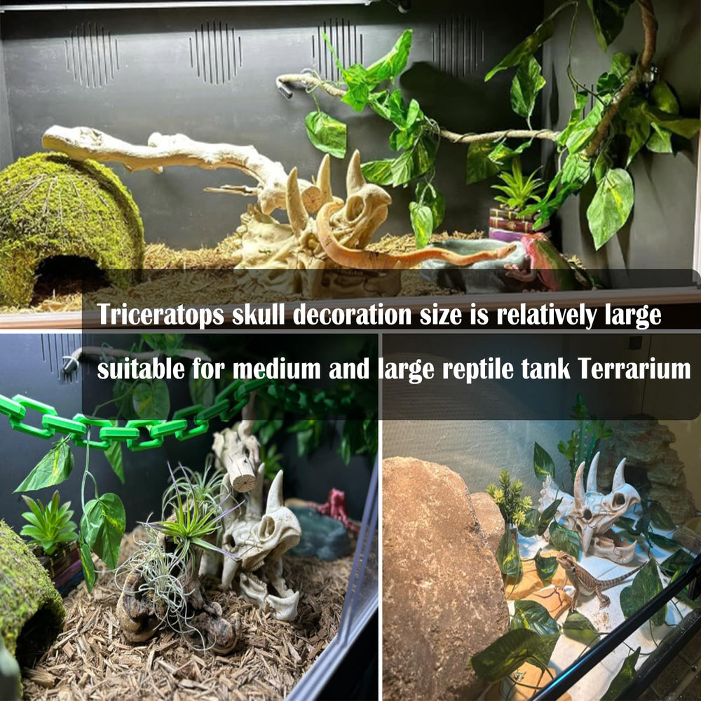 kathson reptile dinosaur skull set with the vine and leaf decoration.