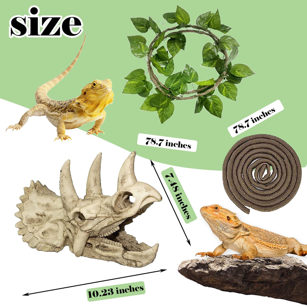 kathson reptile dinosaur skull showing its resin surface and detailed shape.
