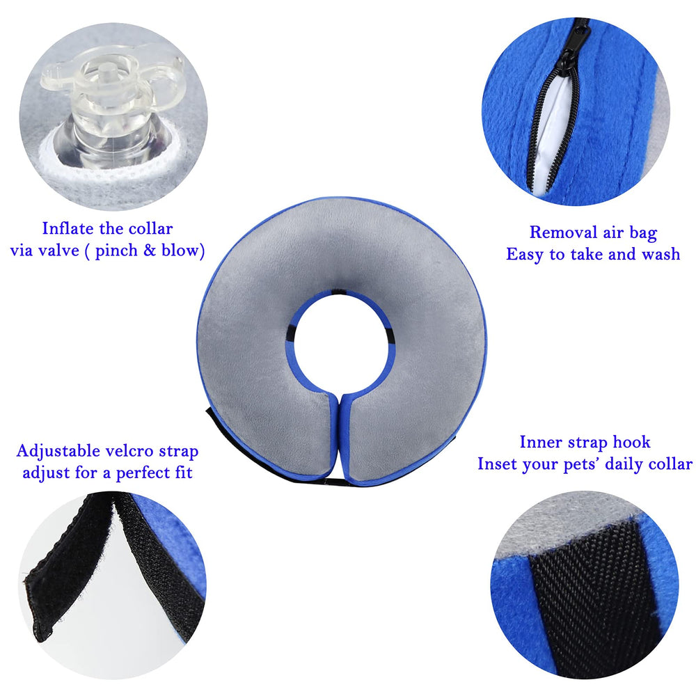 Katoggy inflatable cone collar shown being worn by a pet.