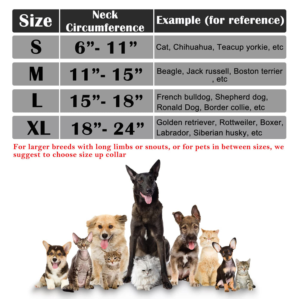 Katoggy inflatable cone collar close-up showing the adjustable Velcro strap.