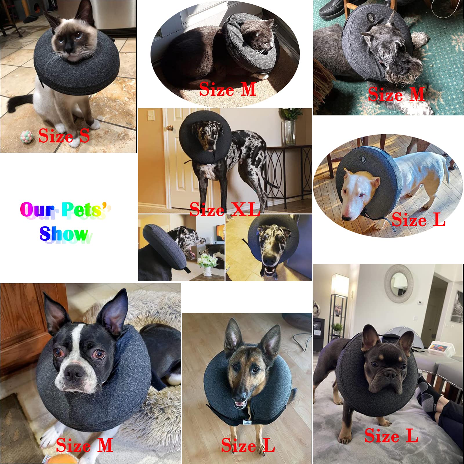 Katoggy inflatable dog collar shown being worn by a pet.