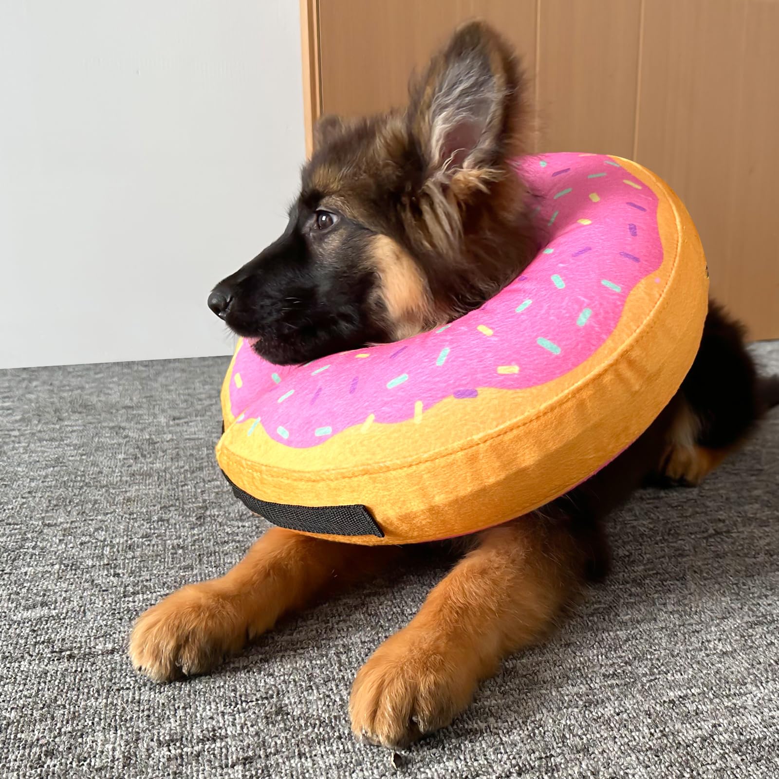 Katoggy inflatable dog cone collar shown deflated for compact storage.