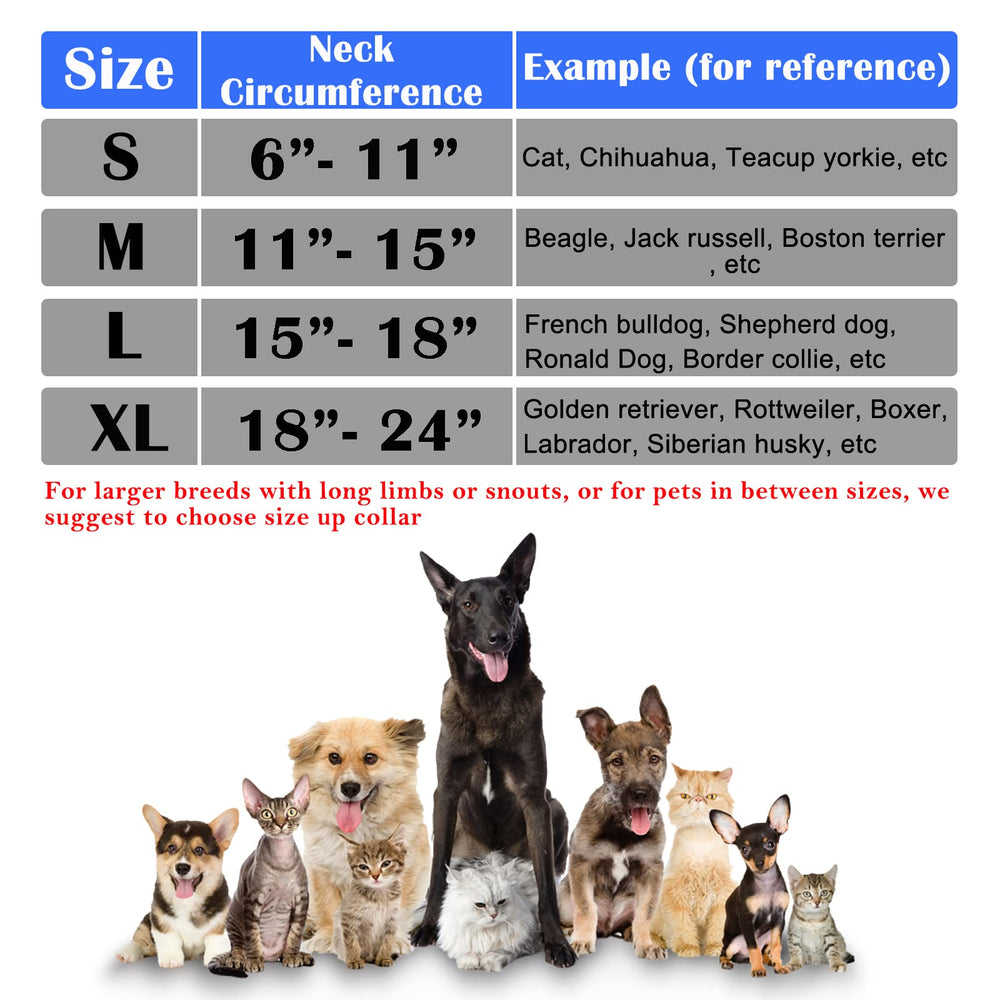 Katoggy inflatable dog cone collar with the adjustable Velcro strap in view.