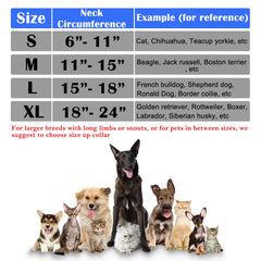 Katoggy inflatable dog cone collar with the adjustable Velcro strap in view.