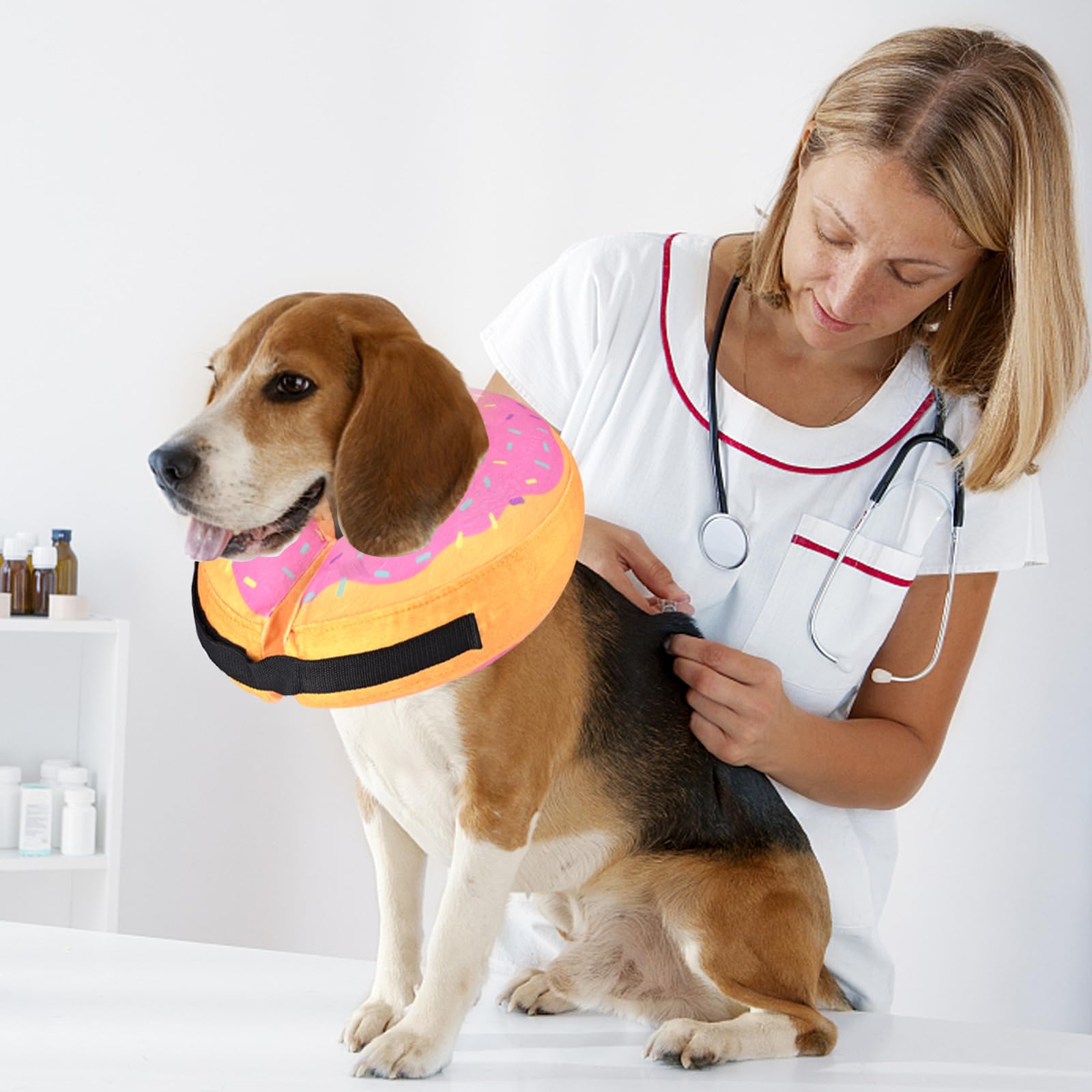Katoggy inflatable dog cone collar worn by a pet during recovery.