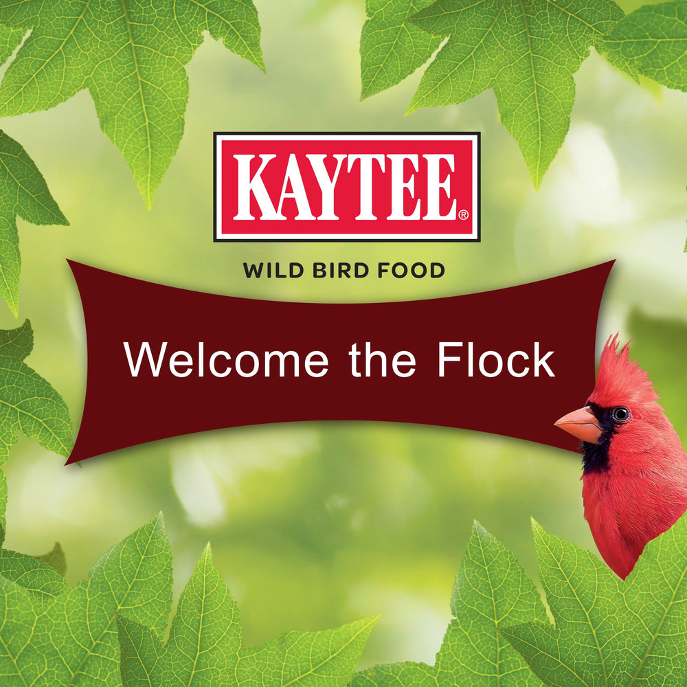 Kaytee Cardinal Seed Cake with millet included in the seed blend.