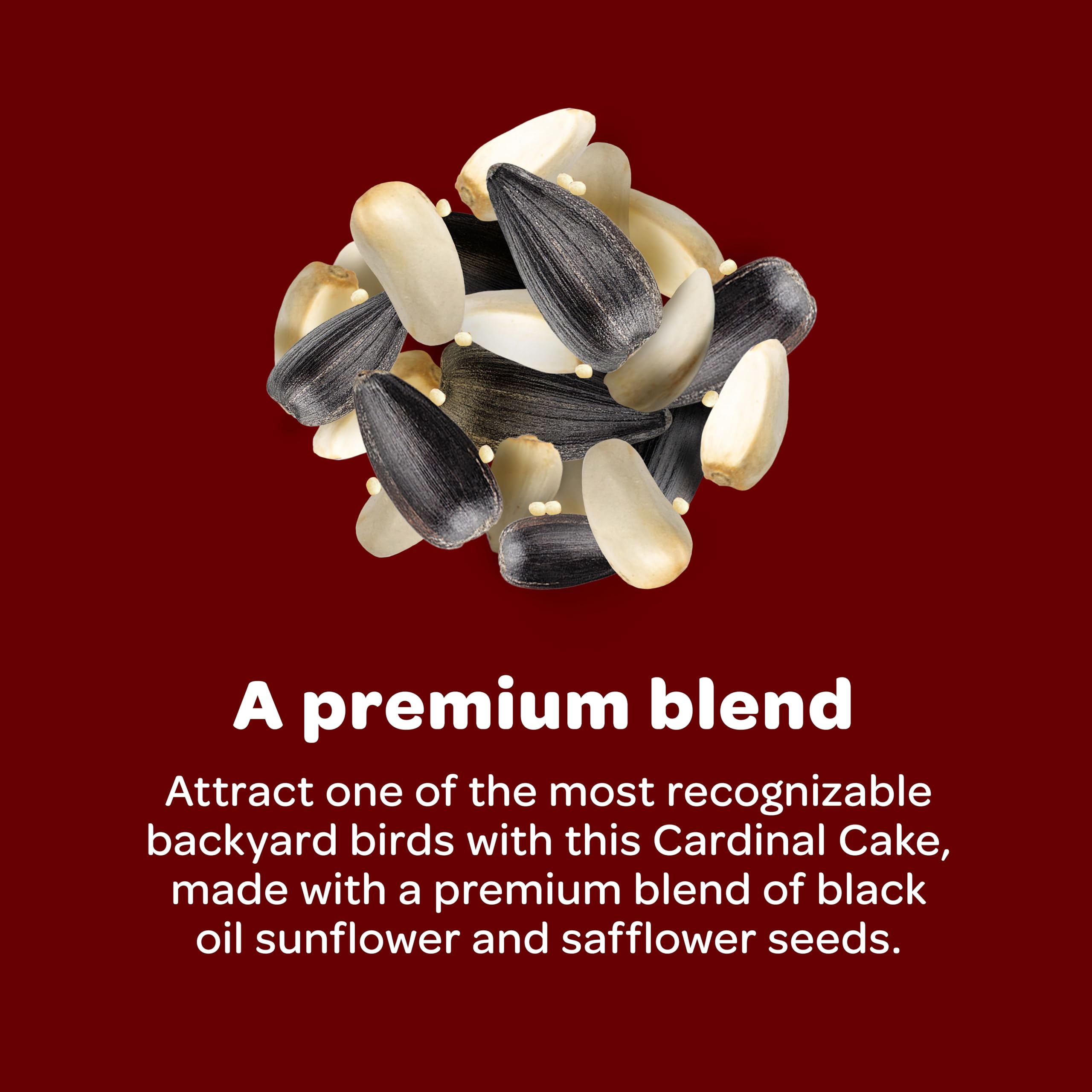 Kaytee Cardinal Seed Cake shown in its pressed cake form.