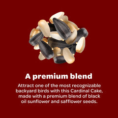 Kaytee Cardinal Seed Cake shown in its pressed cake form.