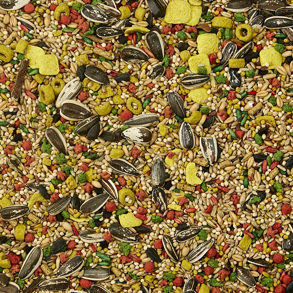Kaytee Forti-Diet Egg-Cite cockatiel food showing its seed-and-grain blend.