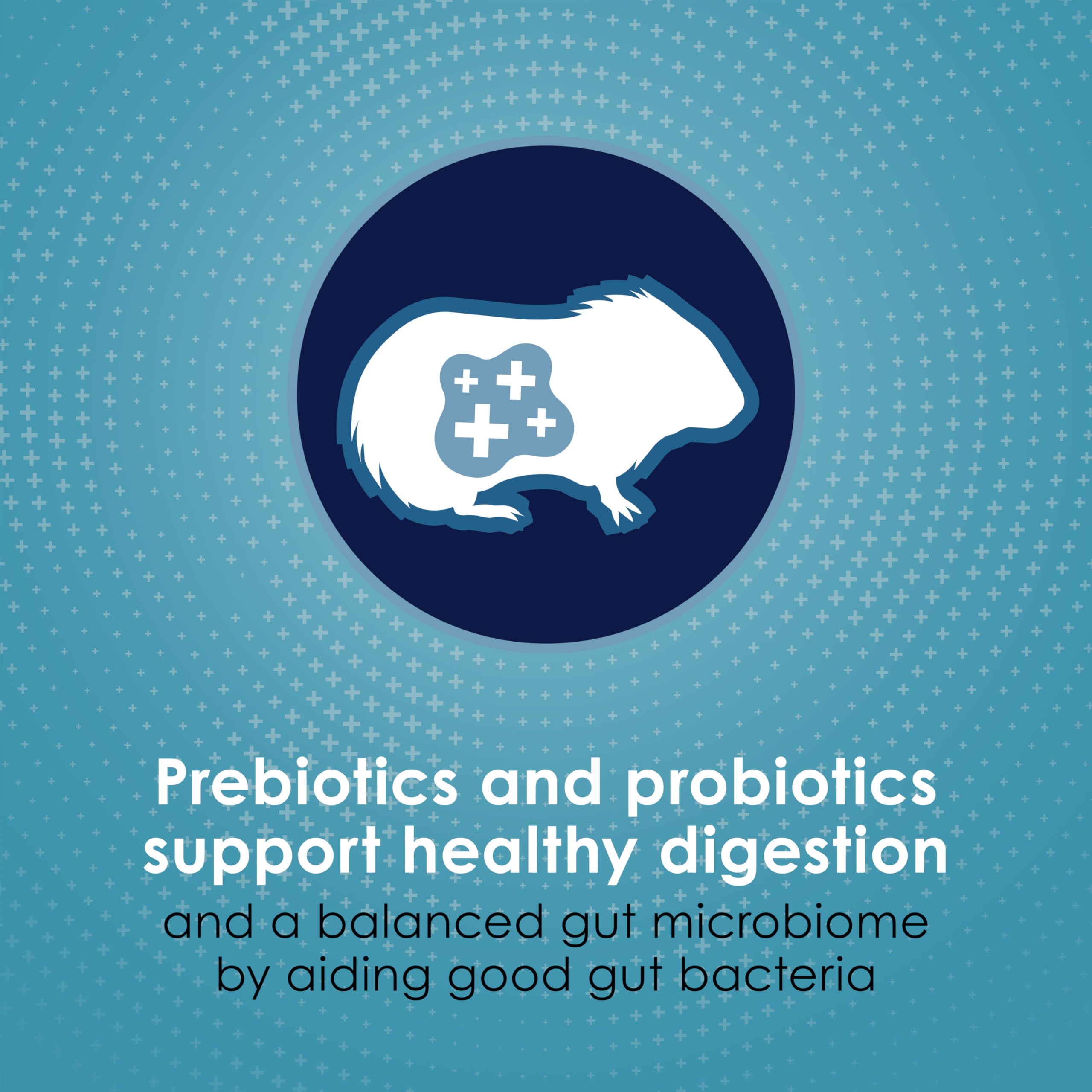 Kaytee Forti-Diet guinea pig food crunchy pieces shown in detail.