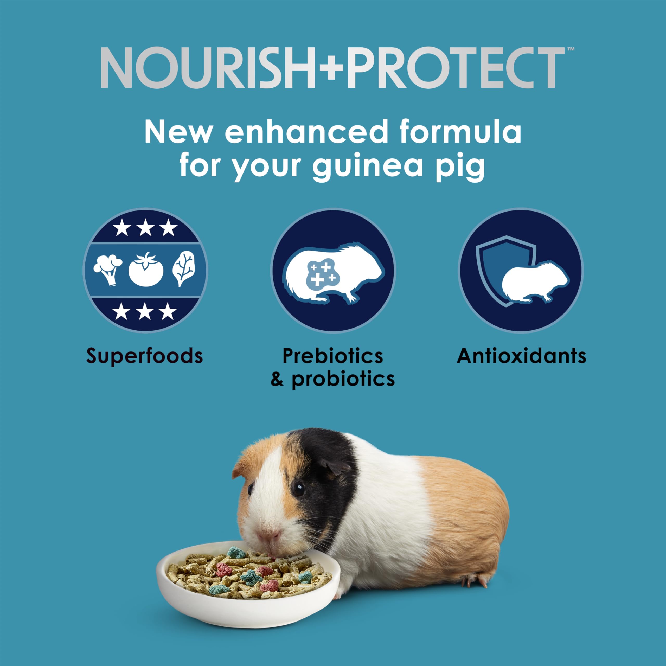 Kaytee Forti-Diet guinea pig food package shown at an angle.