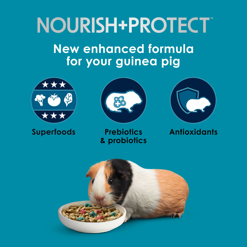 Kaytee Forti-Diet guinea pig food package shown at an angle.