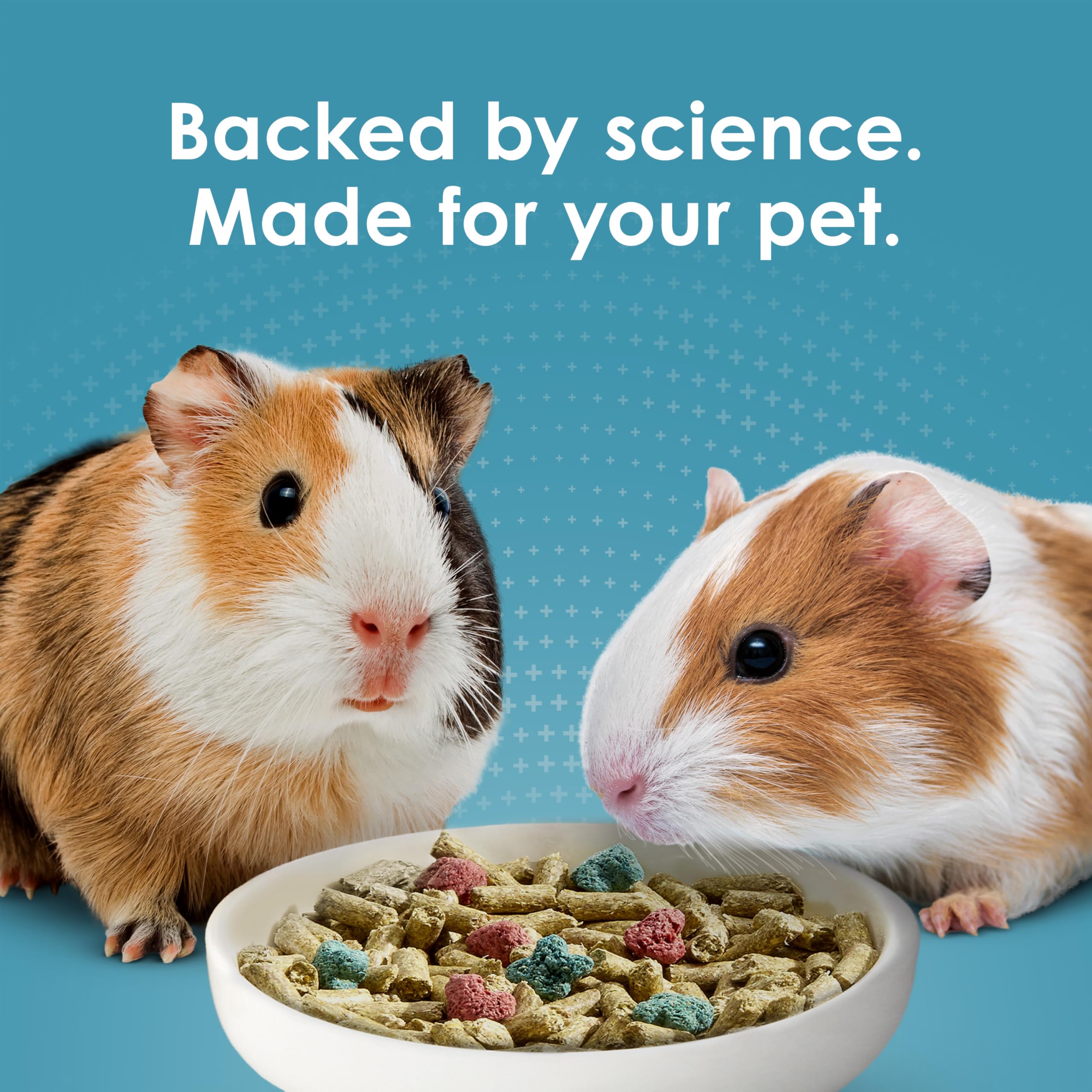 Kaytee Forti-Diet guinea pig food package shown from the back.