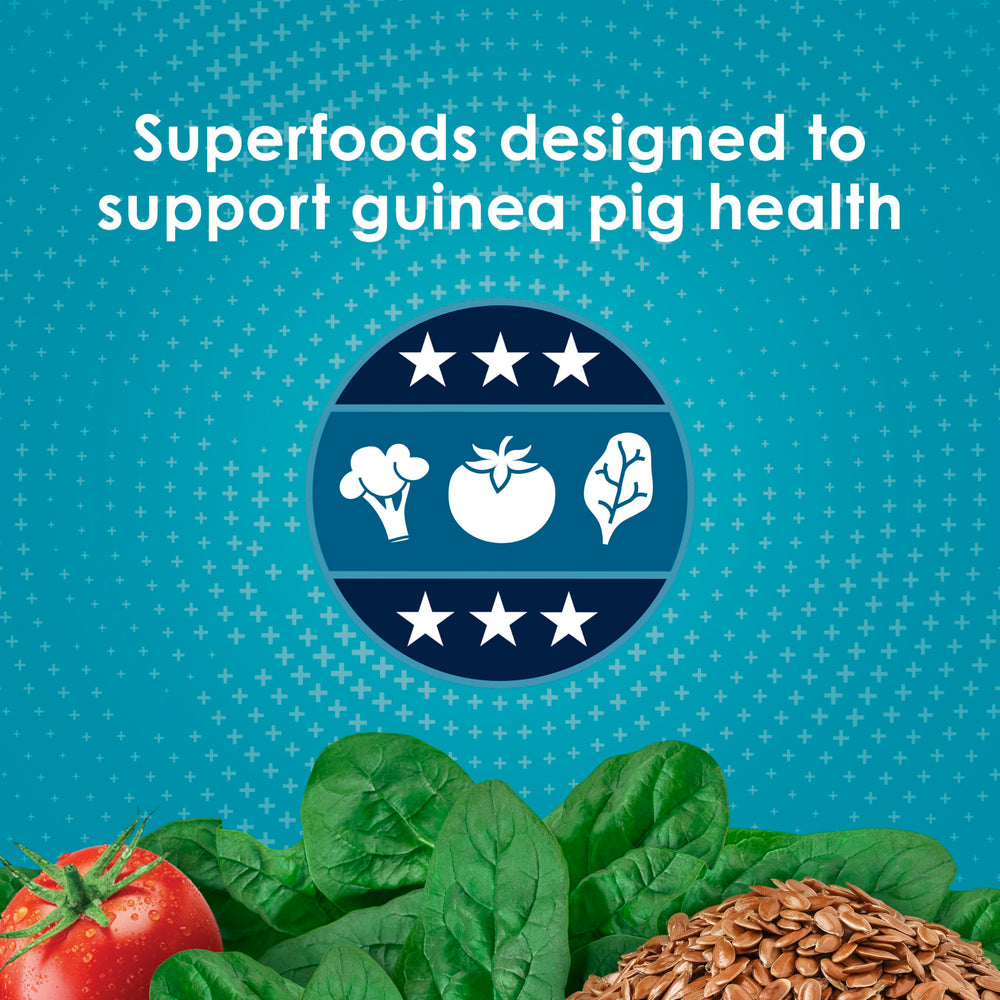 Kaytee Forti-Diet guinea pig food with a close view of the pellets.
