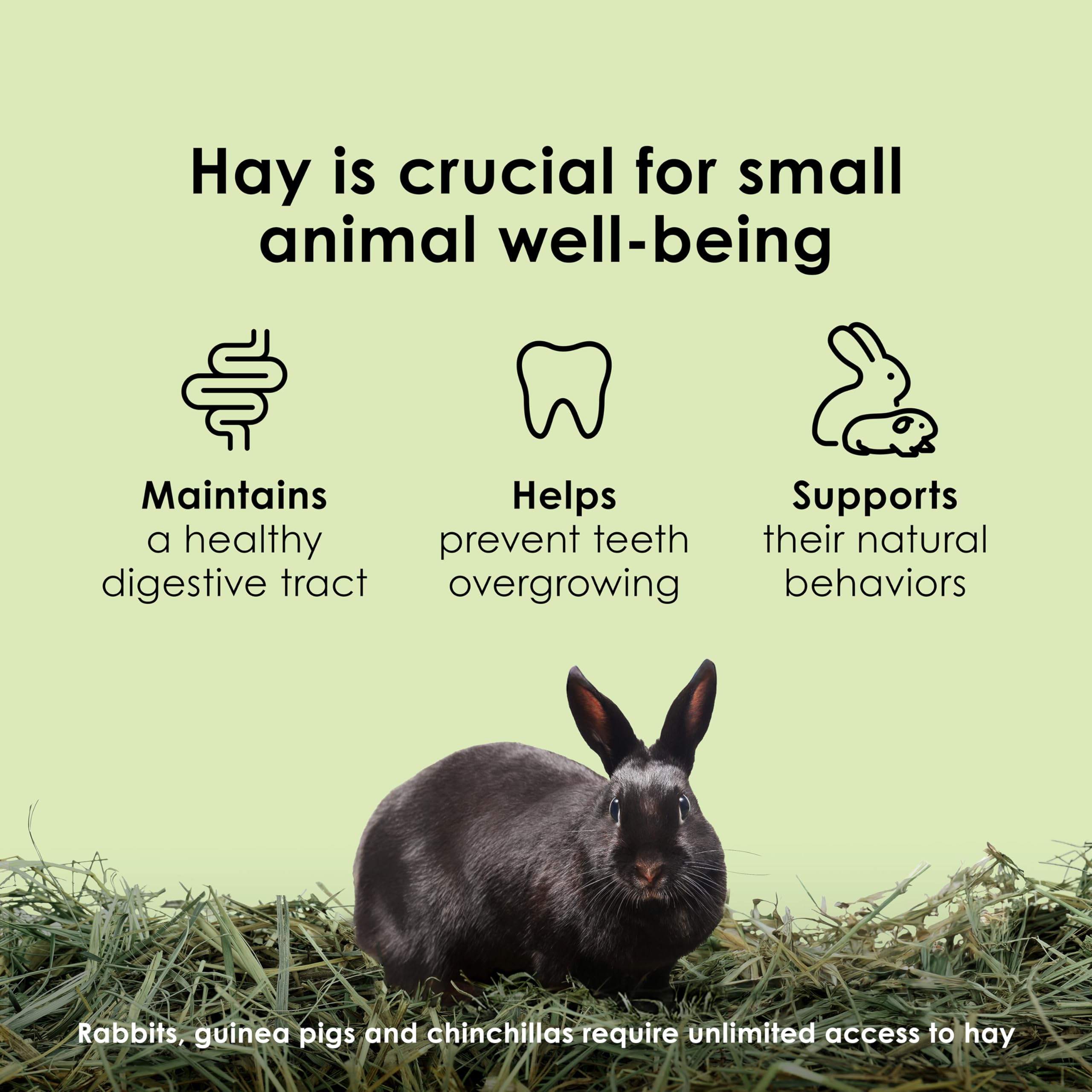 Kaytee Wafer Cut Timothy Hay shown during rabbit feeding.