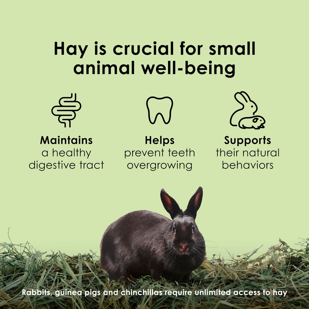 Kaytee Wafer Cut Timothy Hay shown during rabbit feeding.