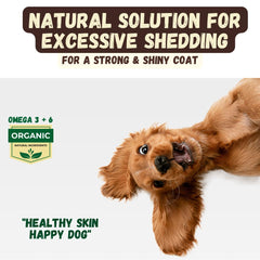 KELEBS dog shampoo bar beside its ingredient panel.