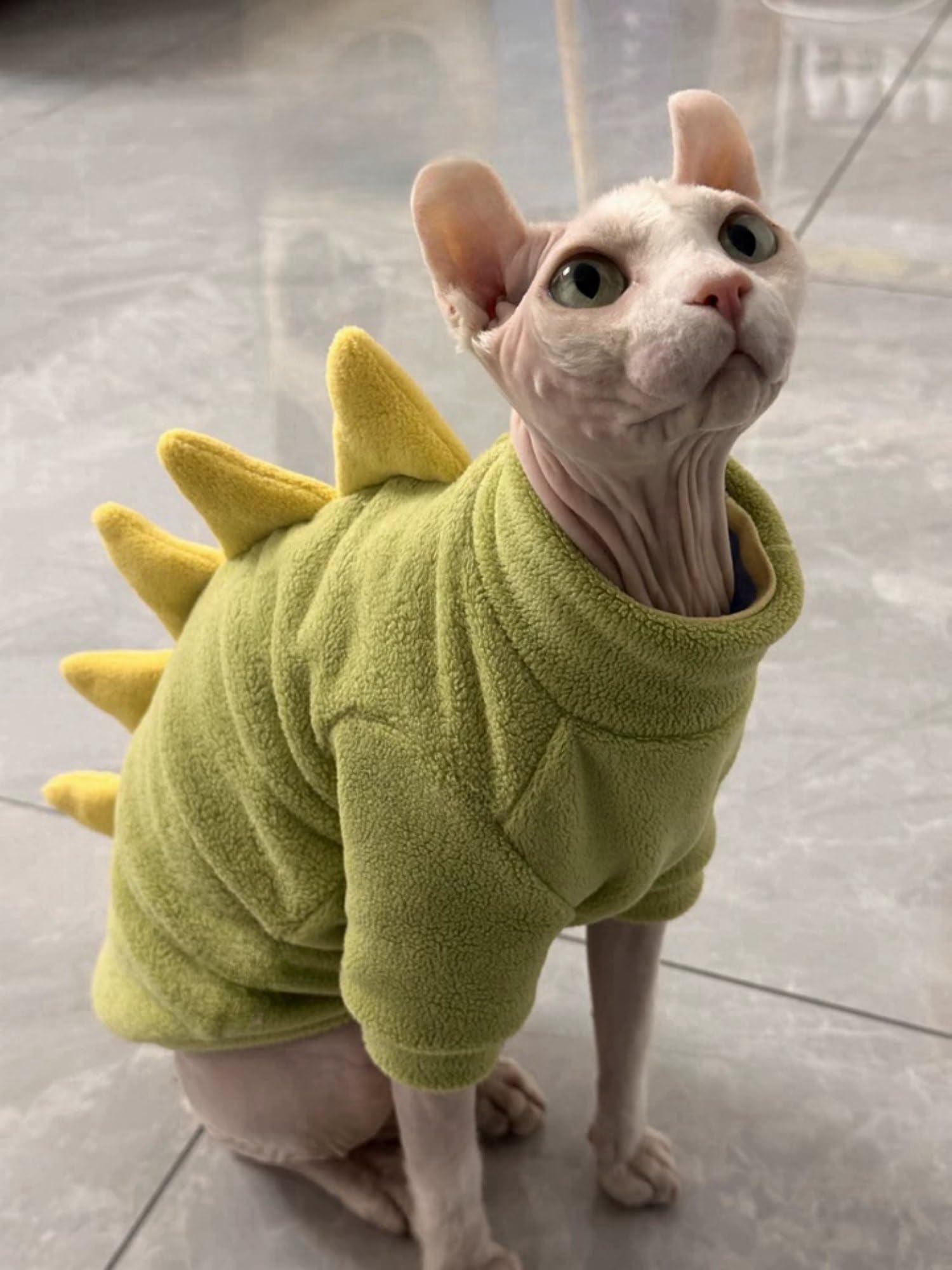 Kitipcoo cat sweater shown in pink, blue, grey and brown color options.