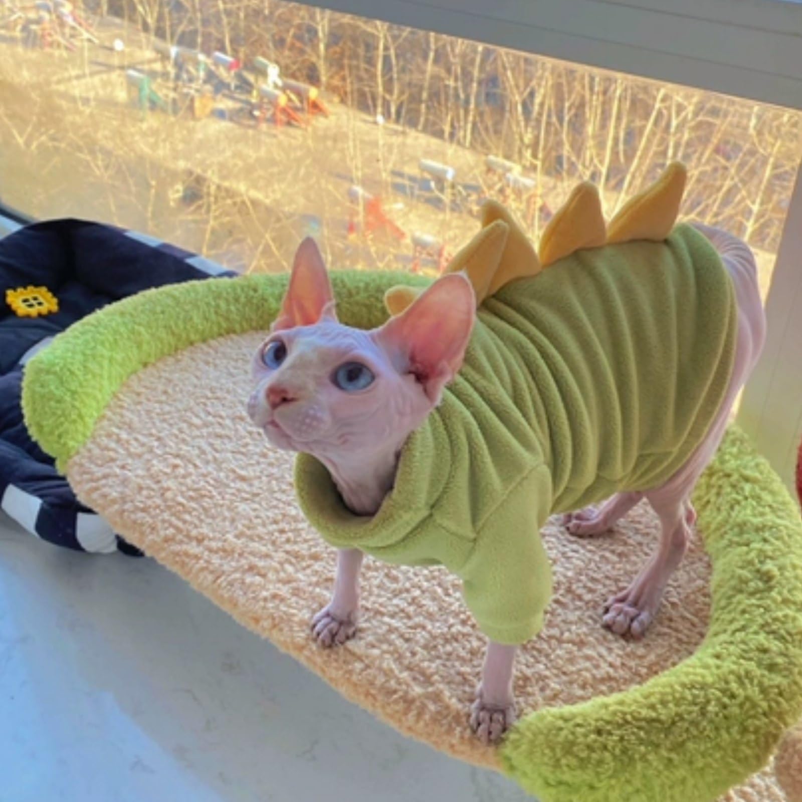 Kitipcoo cat sweater shown in its available weight-based size options.