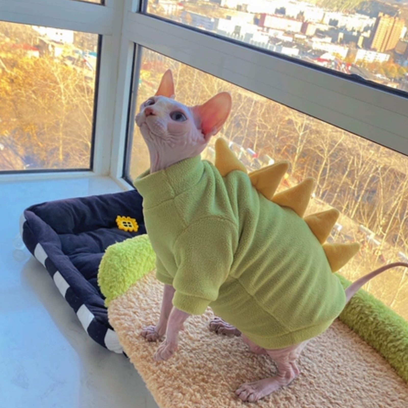 Kitipcoo cat sweater shown being worn by a hairless cat.