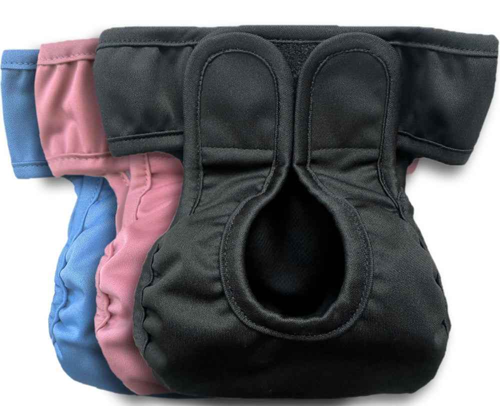 Kitty BumBums reusable cat diapers shown from the front.