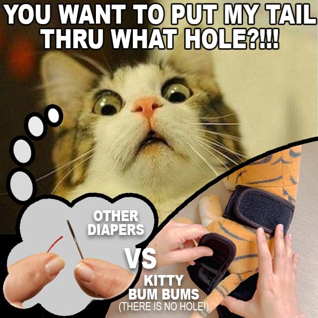 Kitty BumBums reusable cat diapers shown with litterbox access.