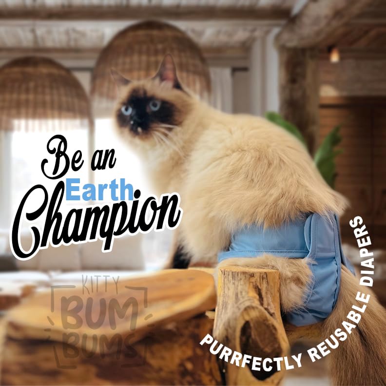 Kitty BumBums reusable cat diapers showing the tail-friendly design.