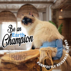 Kitty BumBums reusable cat diapers showing the tail-friendly design.