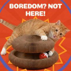 Kitty&Scratch Kitty Kurlz cat scratcher showing its corrugated cardboard scratching surface.