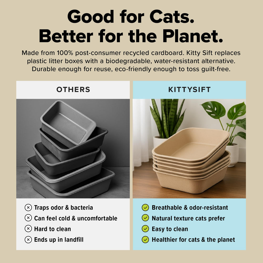 Kitty Sift litter box detail highlighting the breathable walls.