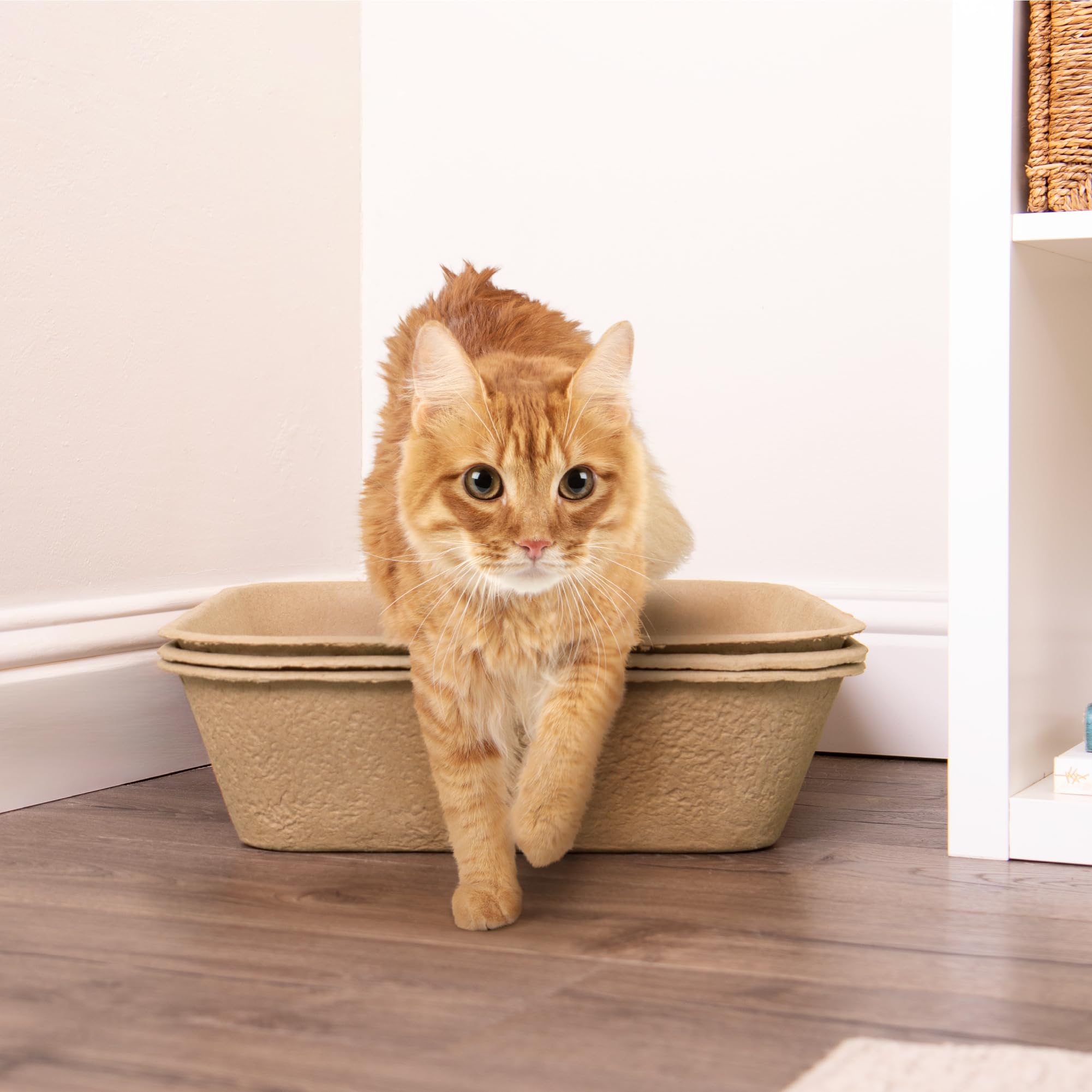 Kitty Sift litter box set presented for portable use while traveling.