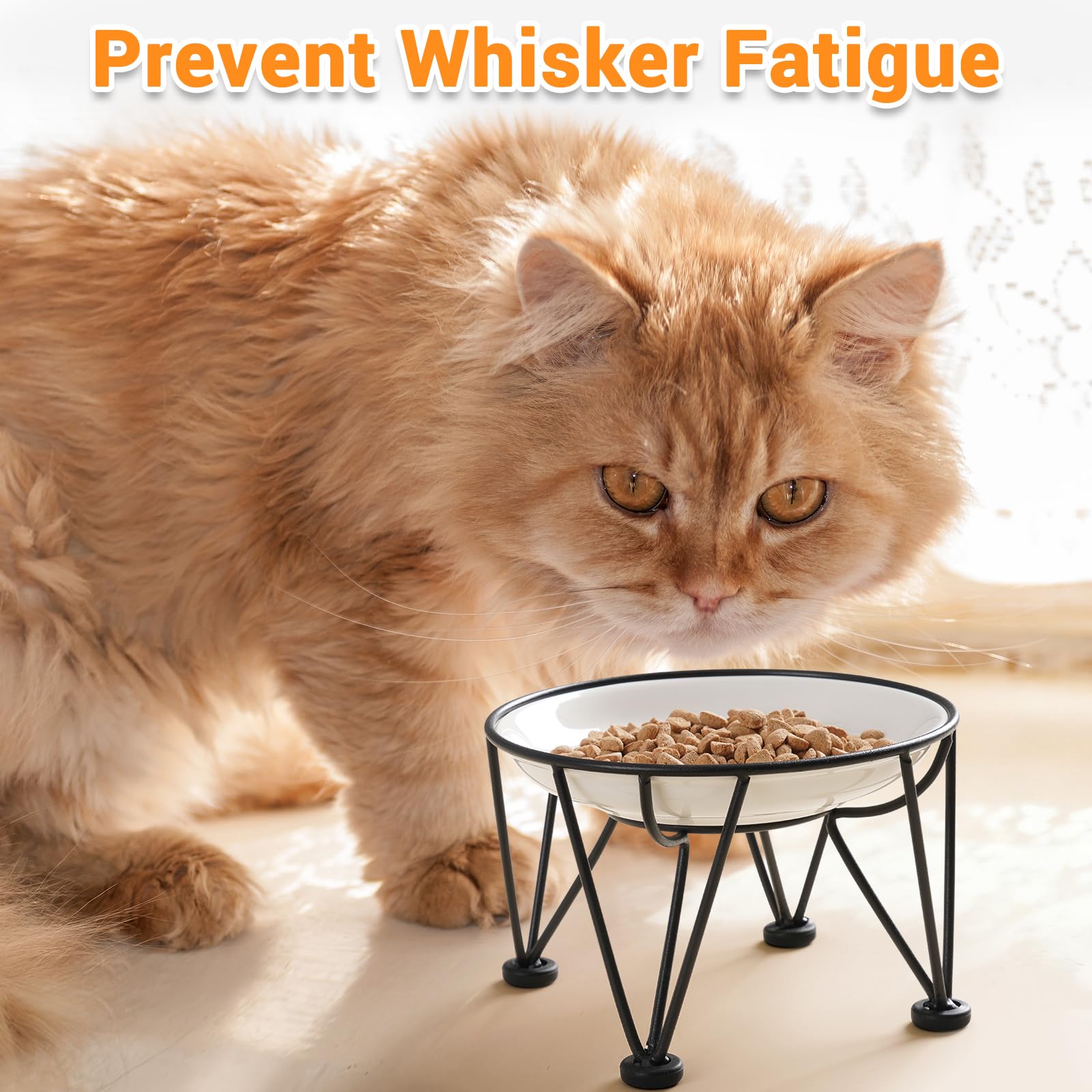 Kitwinney ceramic cat bowl shown with its non-slip silicone base.