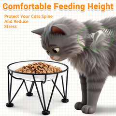 Kitwinney ceramic cat bowl shown close up to highlight its wide, shallow shape.