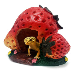 Kocris Casa reptile hide shown from the front with its strawberry-shaped design.