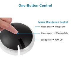 Koller Products BettaTank illuminated with one of its seven LED color choices.