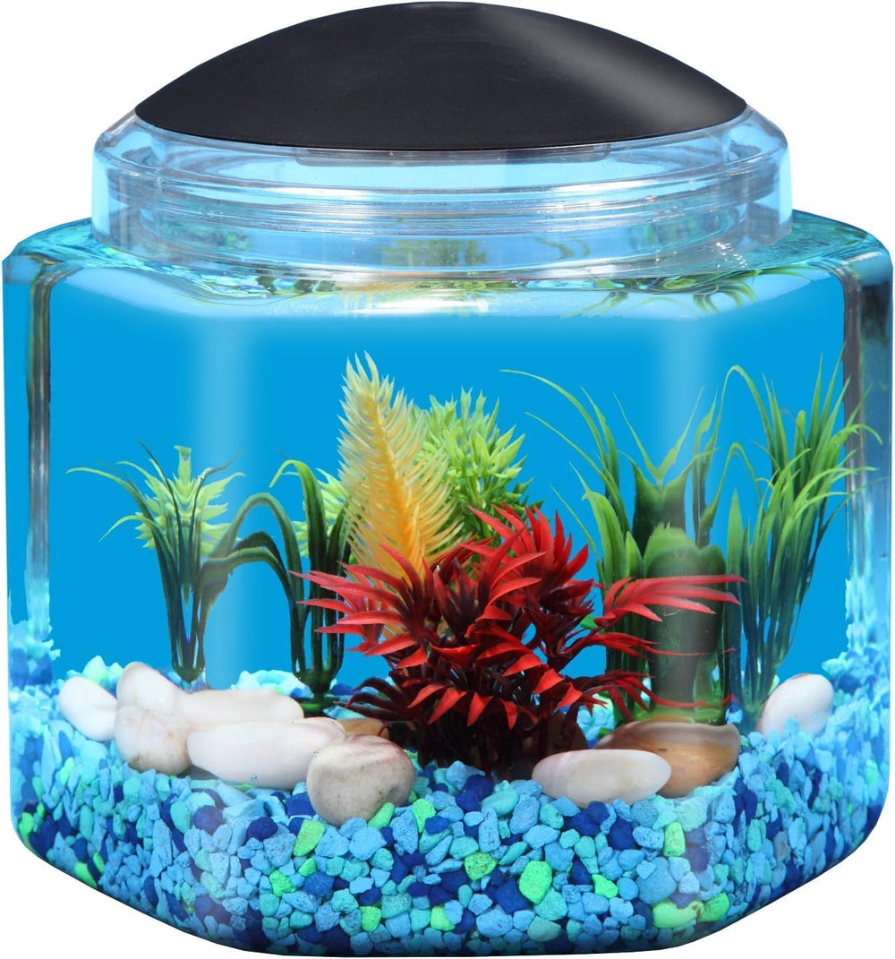 Koller Products BettaTank shown from the front with its hexagonal shape and clear body.
