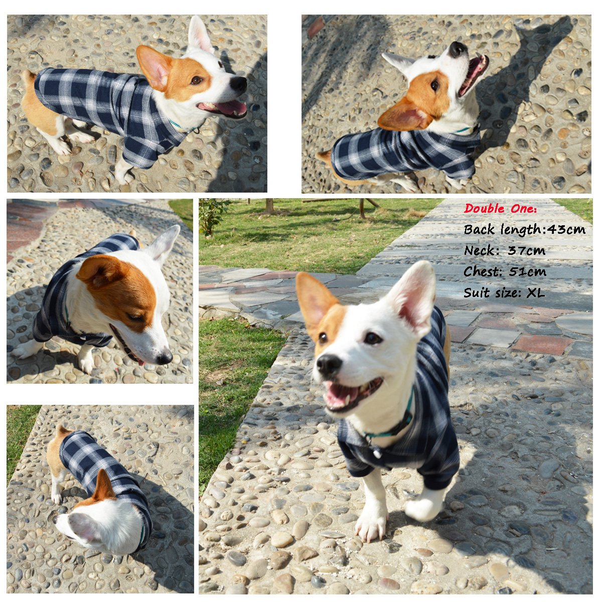 Koneseve pet shirt shown from the back to display its overall shape.
