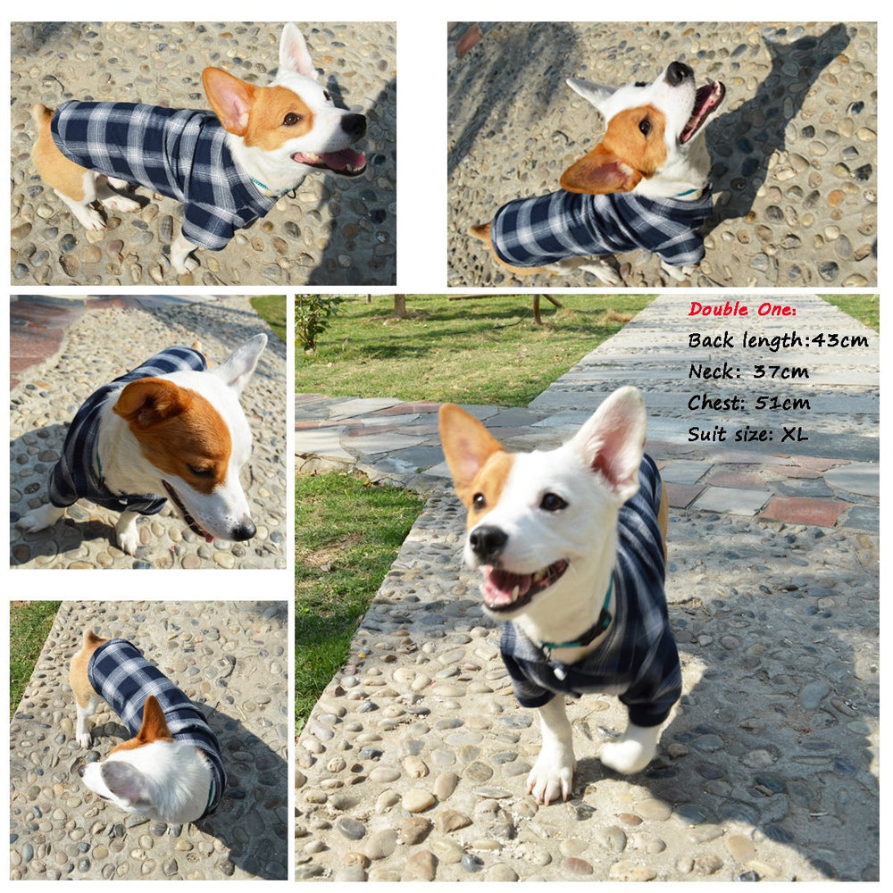 Koneseve pet shirt shown from the back to display its overall shape.