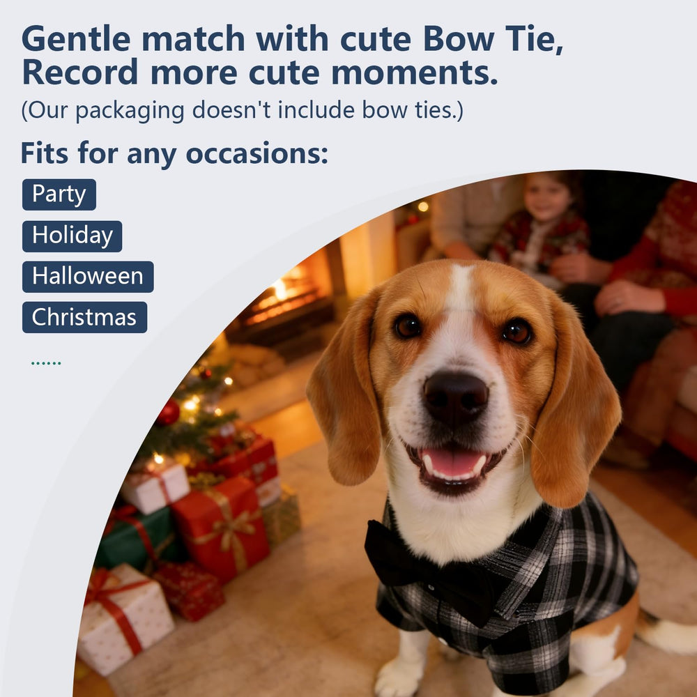 Koneseve pet shirt shown worn by a pet as a casual outfit.