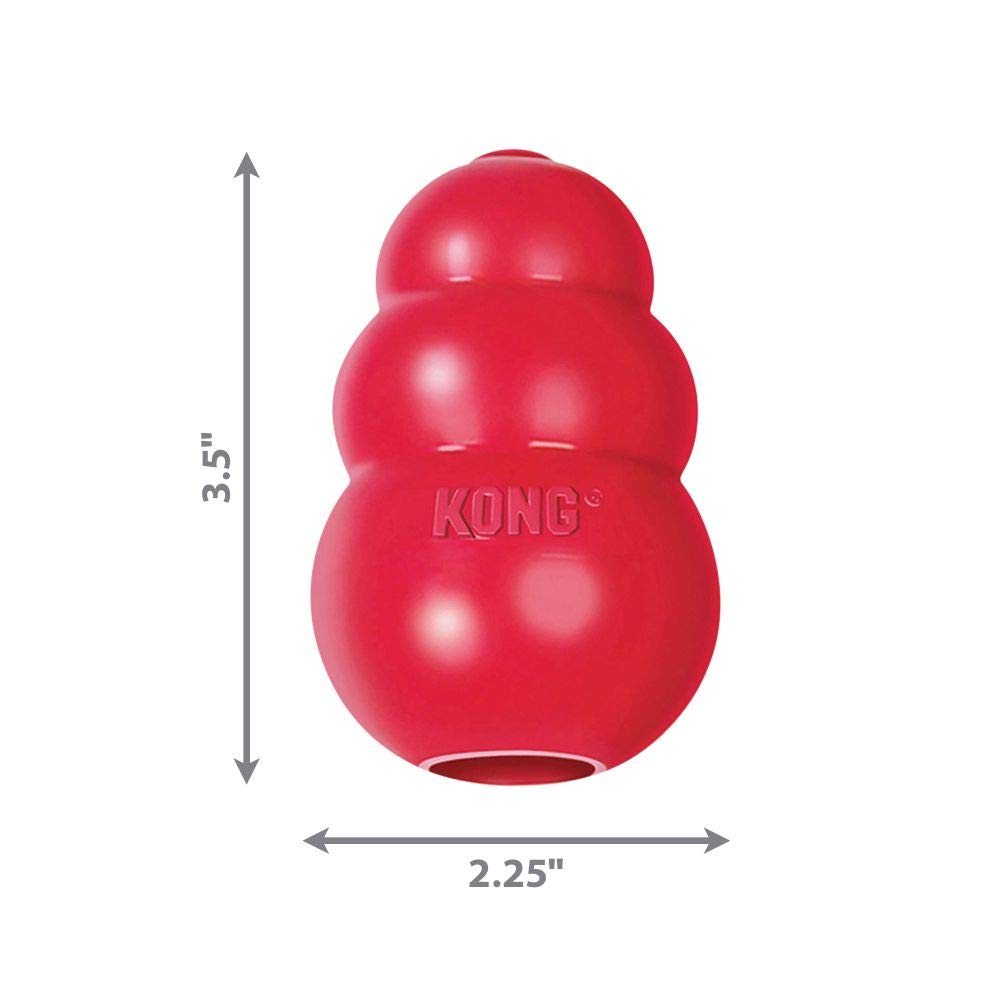 KONG Classic Medium dog toy shown during a game of fetch.