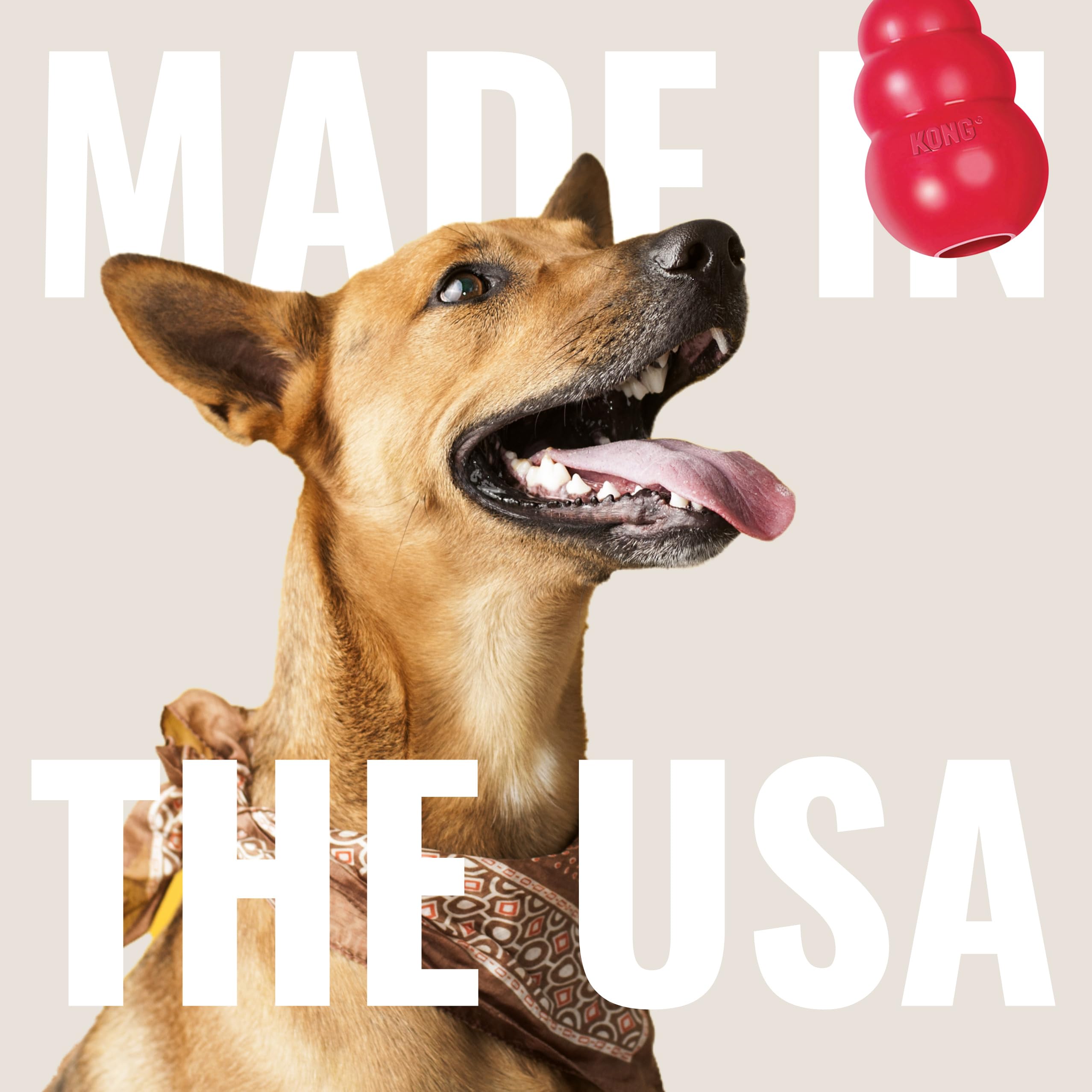 KONG Classic stuffable dog toy shown in motion during bounce play.