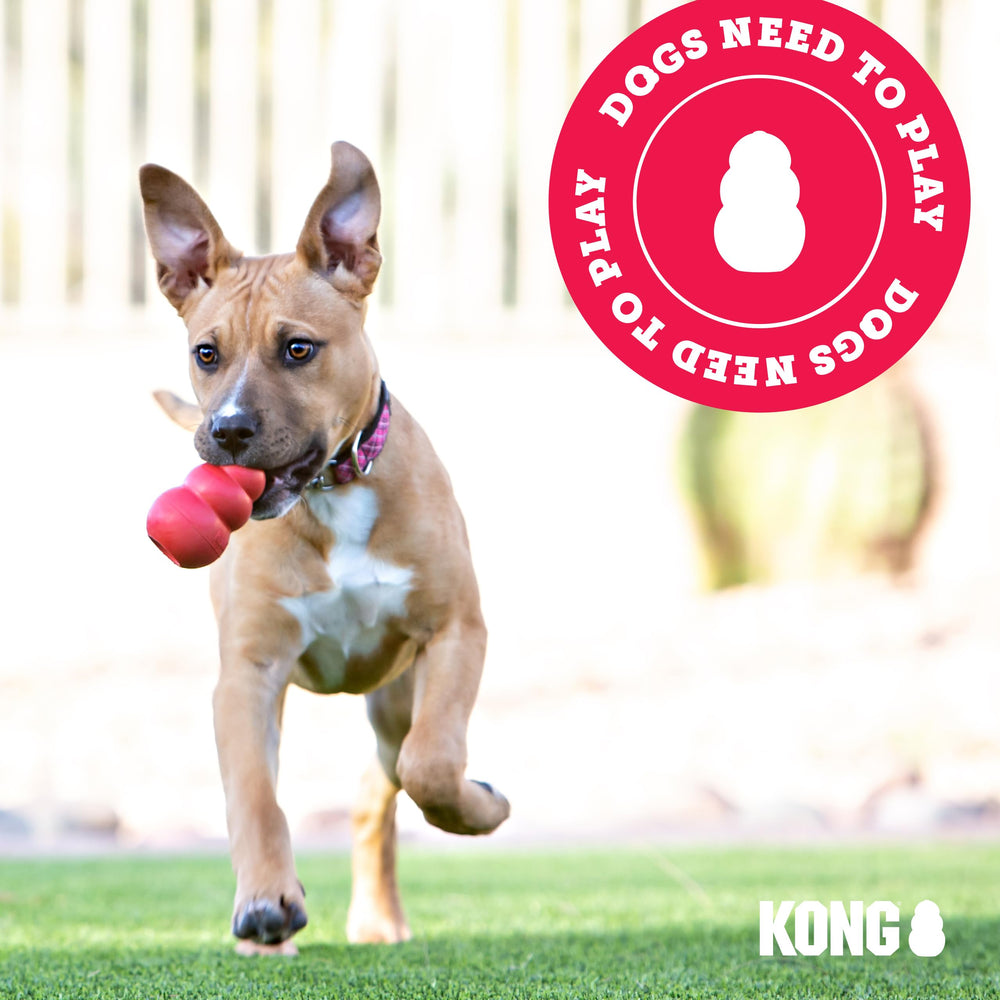 KONG Classic stuffable dog toy pack showing two red toys.